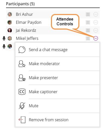 Attendee Controls options